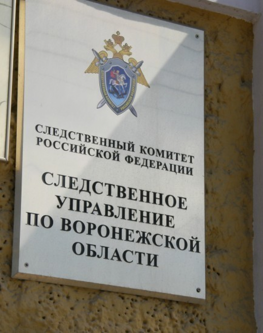 Жительницу Воронежской области требуют отправить на лечение за убийство 10-месячной дочери