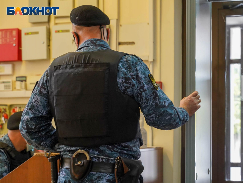 Воронежские судебные приставы ввели санкции в отношении иностранной электронной почты
