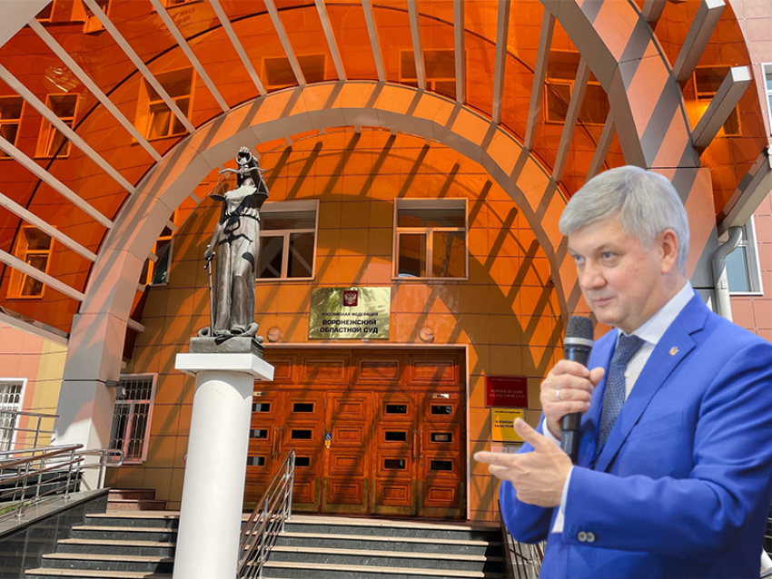 На губернатора Александра Гусева коллективно подали в суд в Воронеже