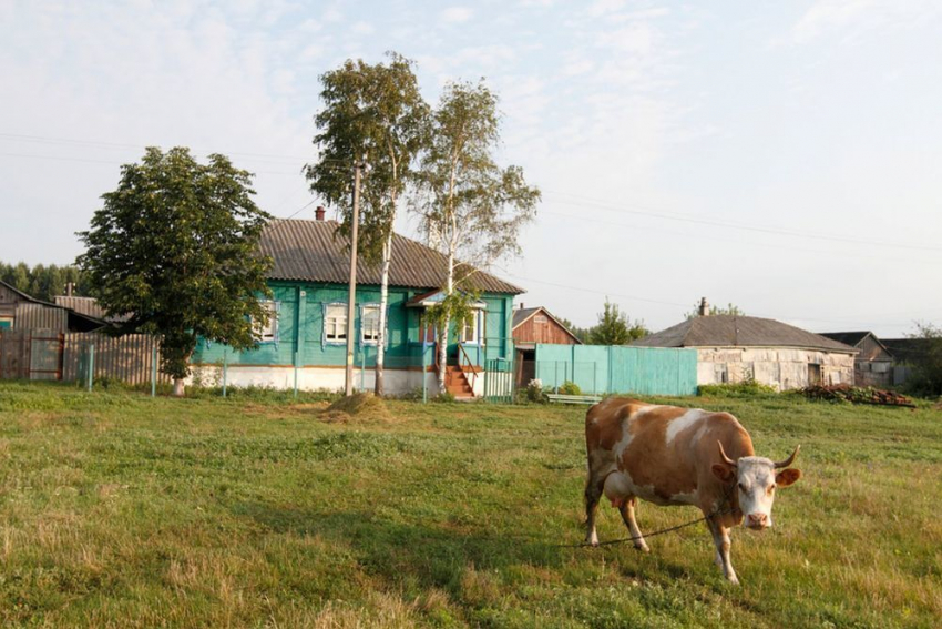 В Воронеже намерены активно способствовать развитию сельской культуры региона