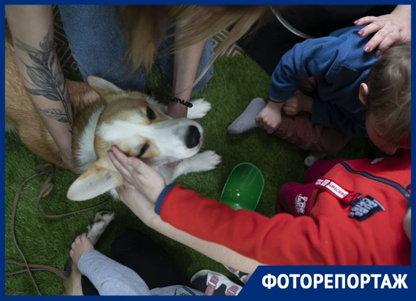 Канистерапия: что это такое и как она помогает особенным детям в Воронеже