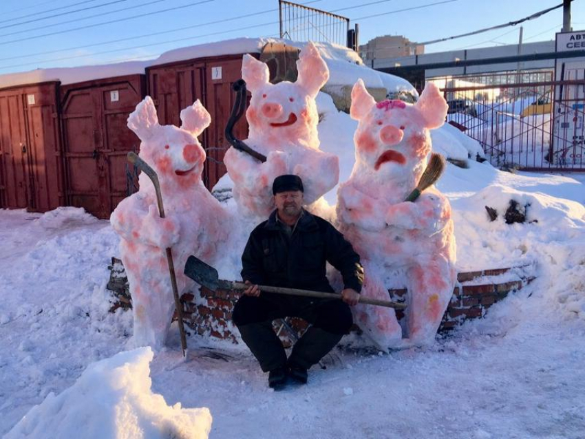 Трех свиней со странными предметами заметили в Воронеже