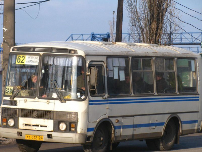 На фоне подорожания проезда Воронеж пополнят ПАЗиками