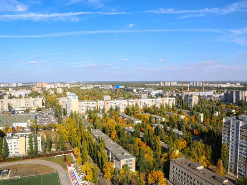 Структура ООН присвоила Воронежу статус «Города деревьев мира»