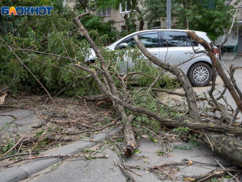Воронежцев предупредили о крепком ветре 