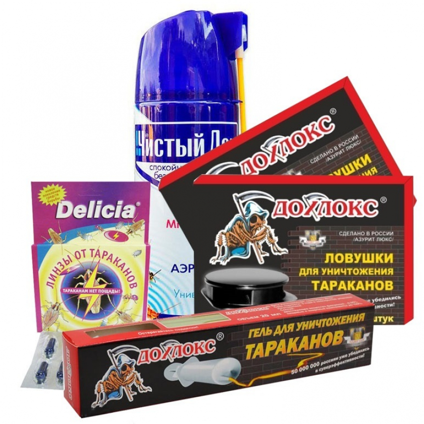 Как вывести тараканов