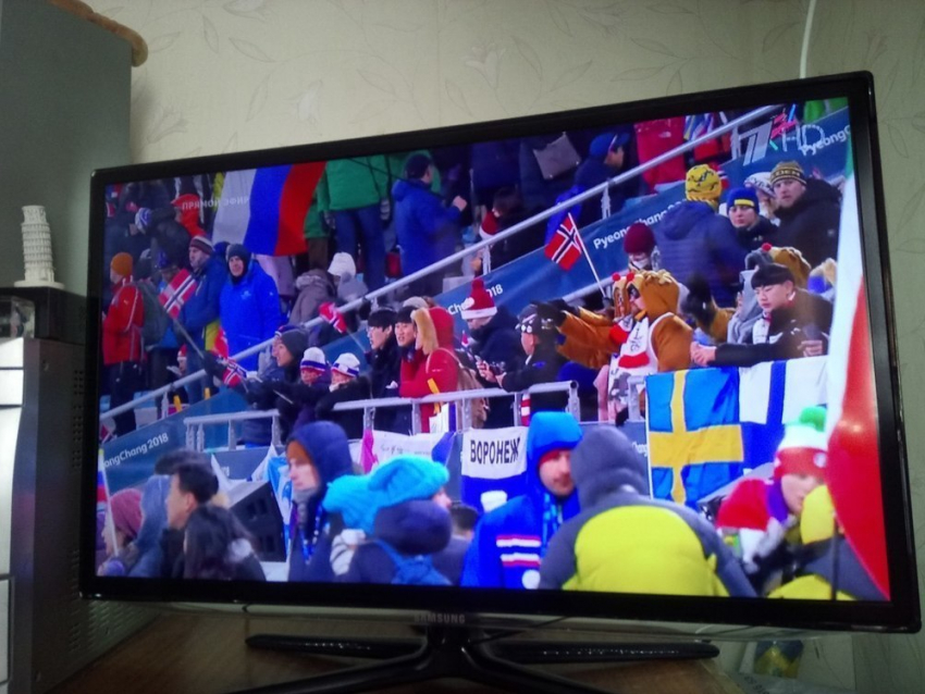 Воронежцы увидели земляков на трибунах Олимпийских игр в Пхёнчхане 