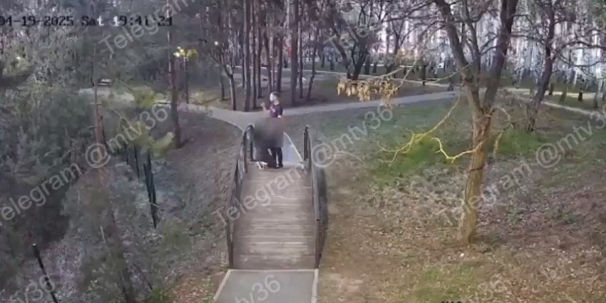 Оральные приключения: пара занялась непристойностями у всех на виду