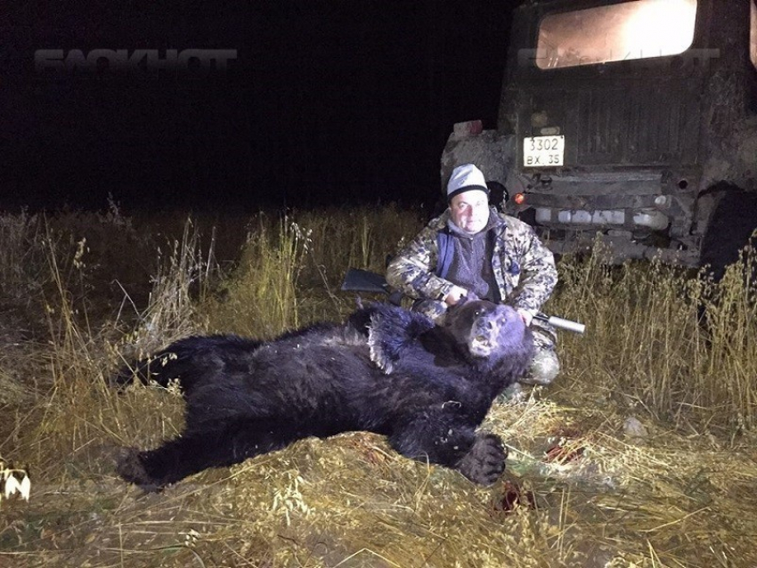 Тверская фирма закатала победу воронежской «ЗМТ-Логистик» в вертолётном аукционе