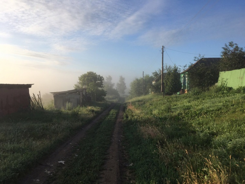 Впечатляющий рост цены за «сотку» земли зафиксировали в Воронежской области 
