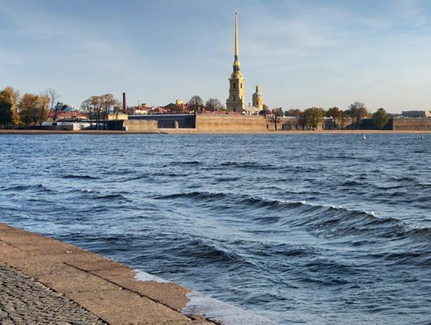 Воронежец пропал в Санкт-Петербурге во время заплыва через Неву