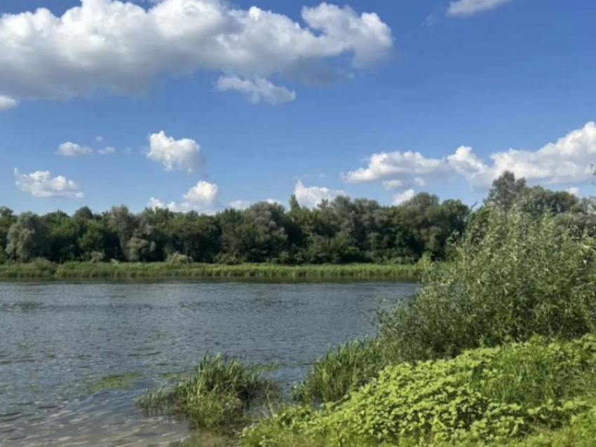Семилетний мальчик утонул во время купания в Воронежской области