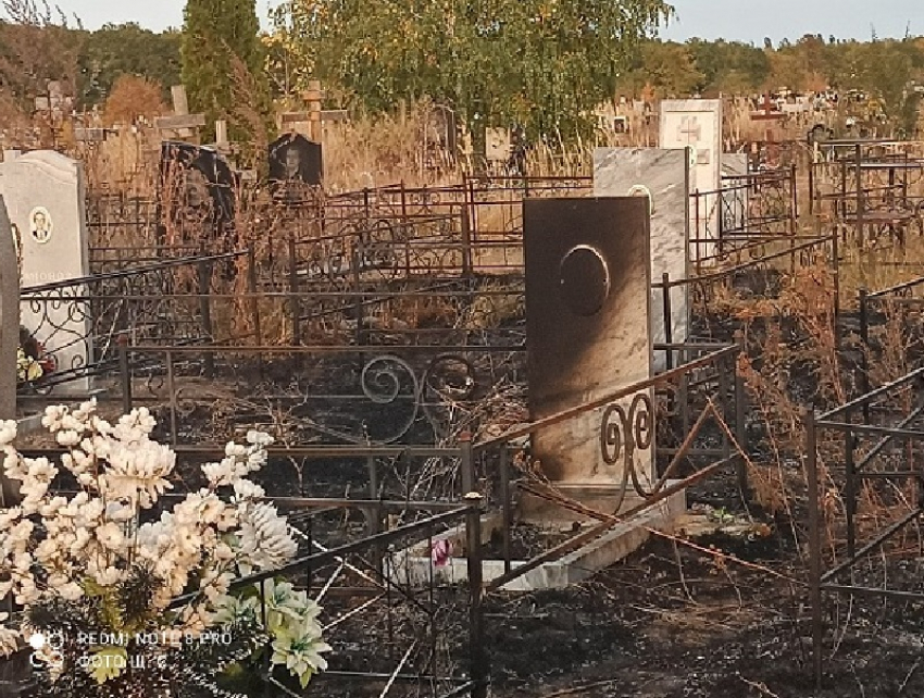 Что стало с кладбищем после огненного ада под Воронежем 