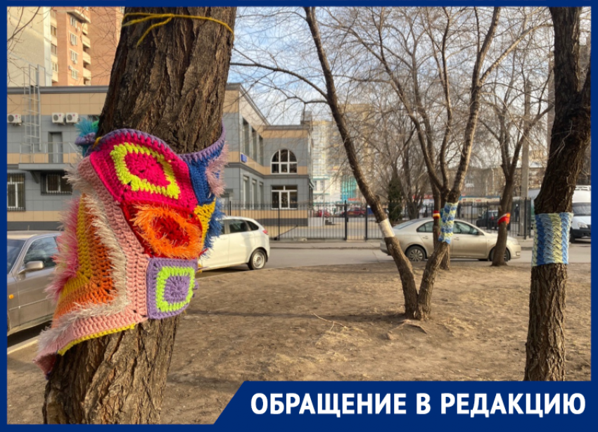 Деревья в бабушкином стиле нарядили в Воронеже 