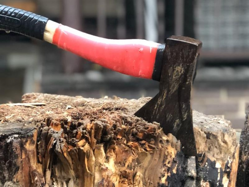 Полмиллиона рублей заплатит осужденный за вырубку дубов под Воронежем