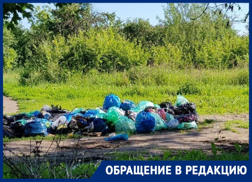  Воронежцев пристыдили грязным состоянием яблоневого сада, за который просят перед Путиным 