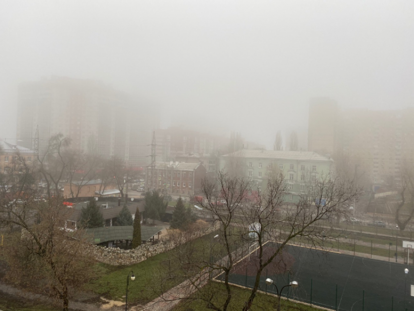 Опасный туман окутал Воронежскую область