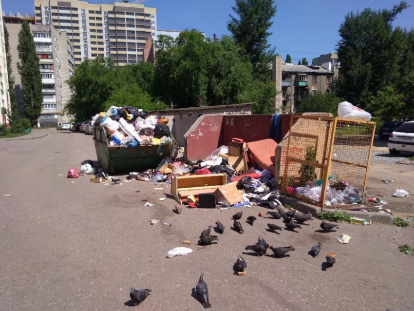 На ежедневные мусорные горы во дворе пожаловались жители Воронежа