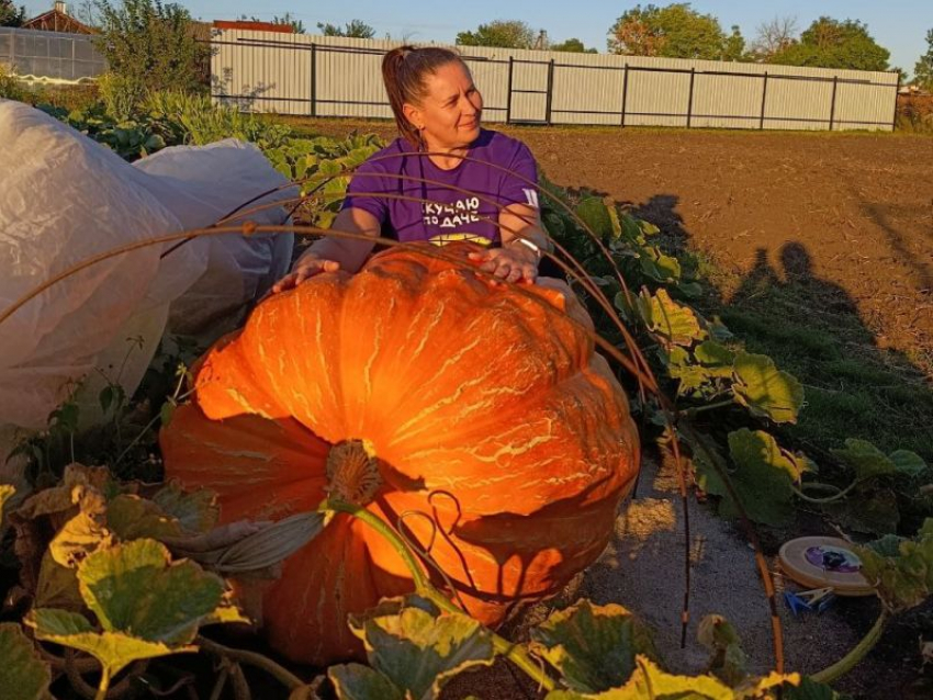 Овощи-гиганты вырастили на своем участке фермеры из Воронежской области