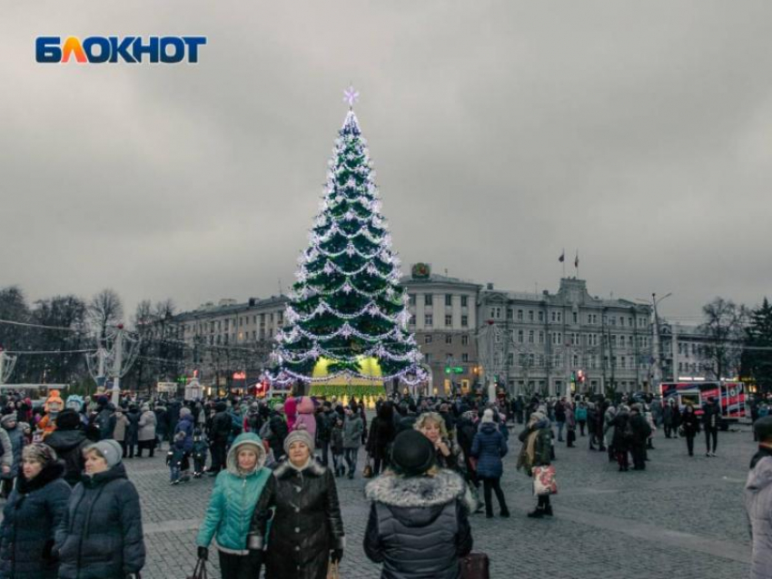 Стало известно, где установят временные туалеты на новогодние праздники в Воронеже 