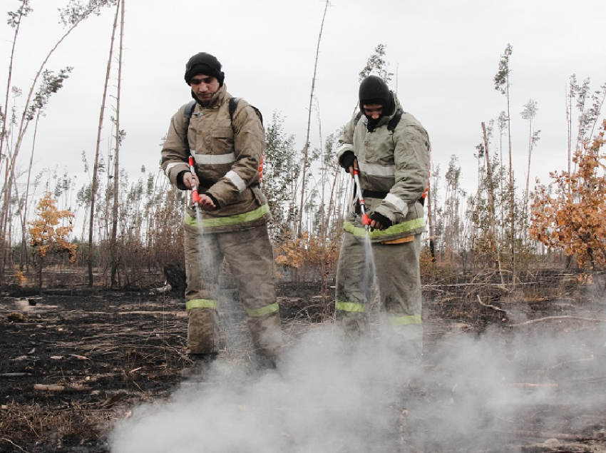 О новых лесных пожарах сообщили воронежские спасатели