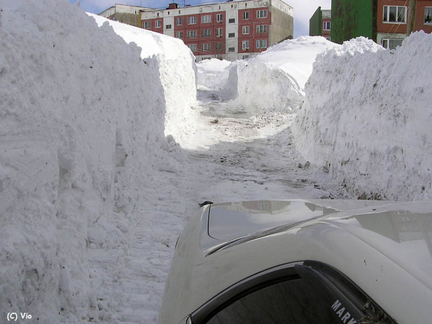 Женщина на Peugeot снесла световую опору из-за сильного снегопада в Воронеже