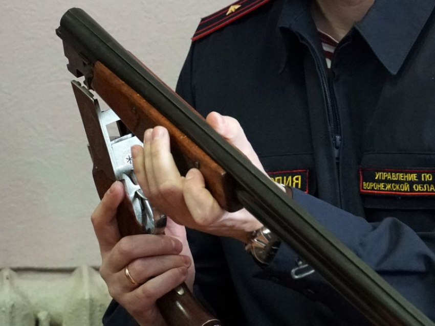 За неделю в Воронежской области силовики изъяли 17 единиц оружия