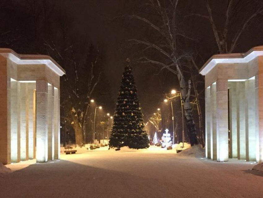 Воронежцев заворожила красота новогодней елки в Центральном парке
