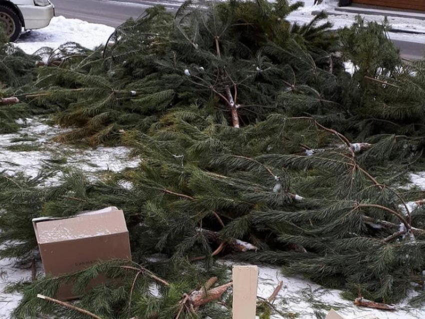 Дикие последствия новогоднего бизнеса сняли в Воронеже 