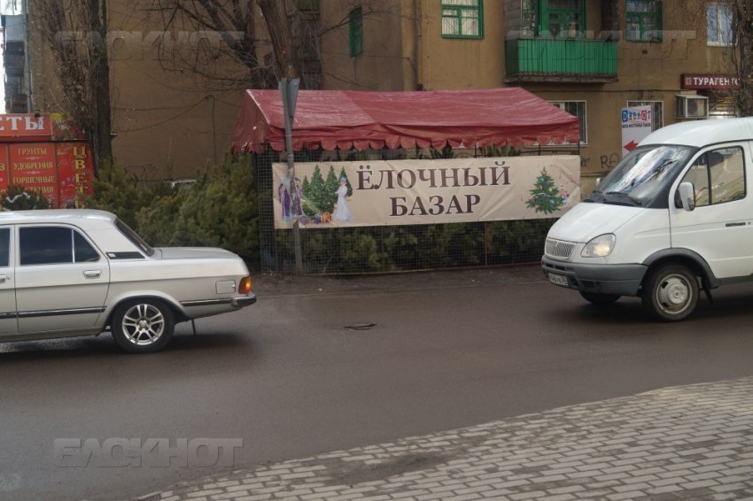 В Воронеже начали работать новогодние елочные базары