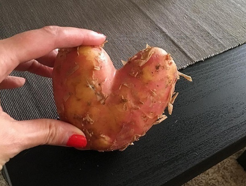 На рынке в Воронеже девушке продали картошку-мутанта в виде сердца