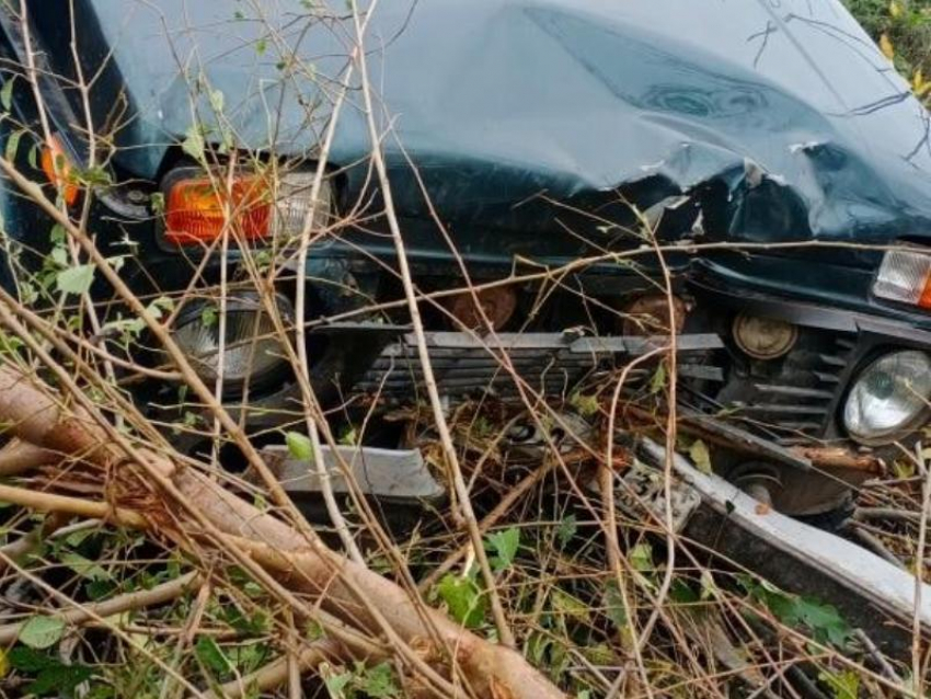 Двух женщин госпитализировали после столкновения машины с деревом в Воронежской области