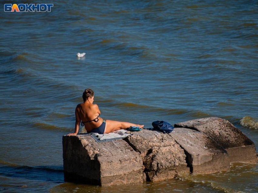 Под угрозой срыва оказался проект «Царского пляжа» за 78 млн рублей в Воронежской области