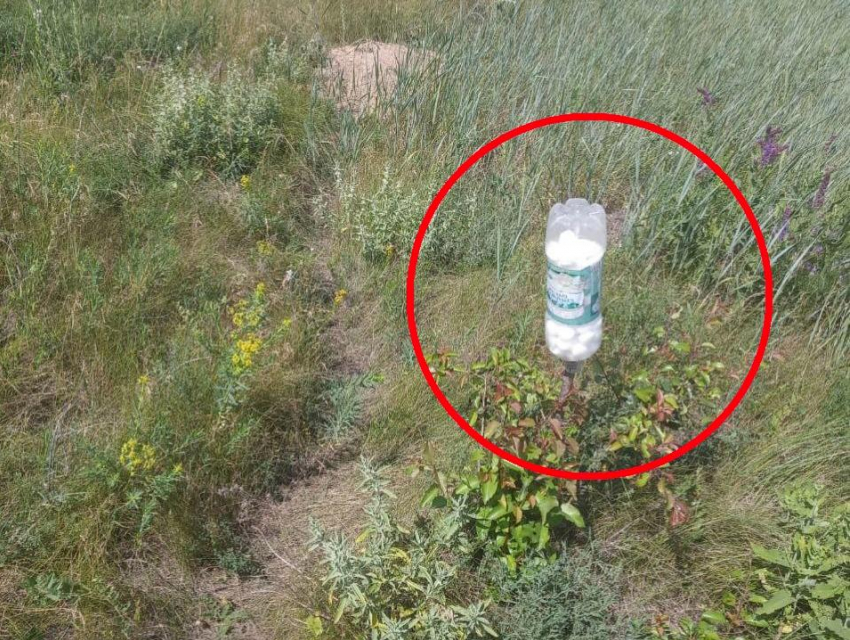 Странное вещество в пластиковой бутылке оставили неизвестные в поле Воронежской области