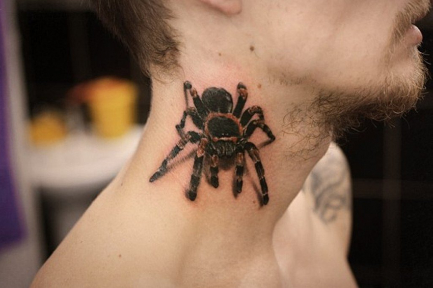 Татуировка паука стоила свободы жителю Воронежа 
