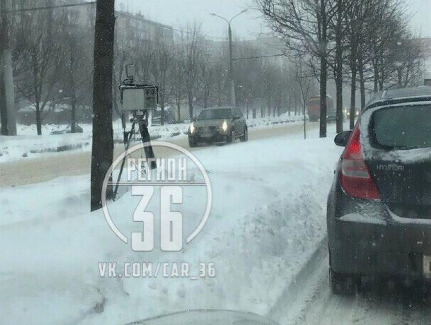 В Воронеже предложили специально сфотографироваться на треногу