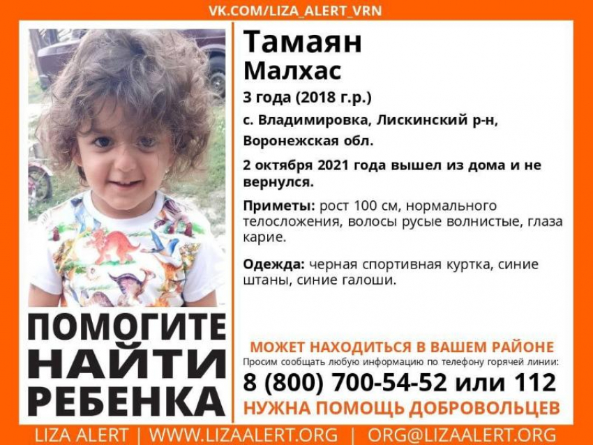 Трехлетний ребенок пропал в Воронежской области 
