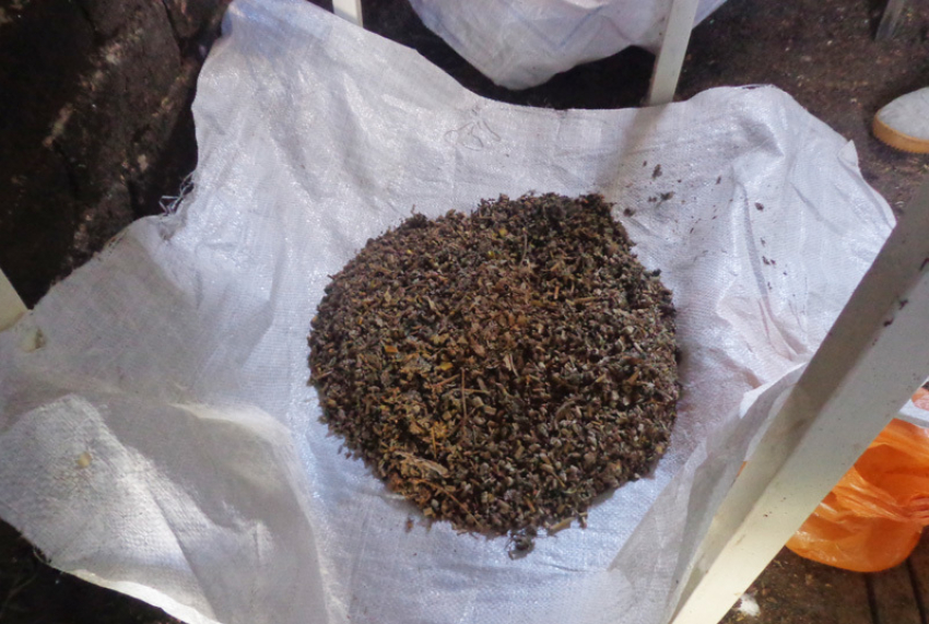 Воронежская наркополиция «прикрыла» популярный дом для наркоманов 