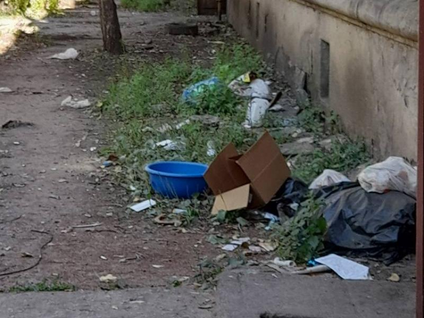 Воронежцы увлеклись выбрасыванием мусора из окон
