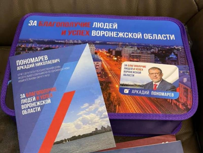 Пономарёв пообещал разобраться в причинах скандала с агитацией за единороссов в воронежской гимназии
