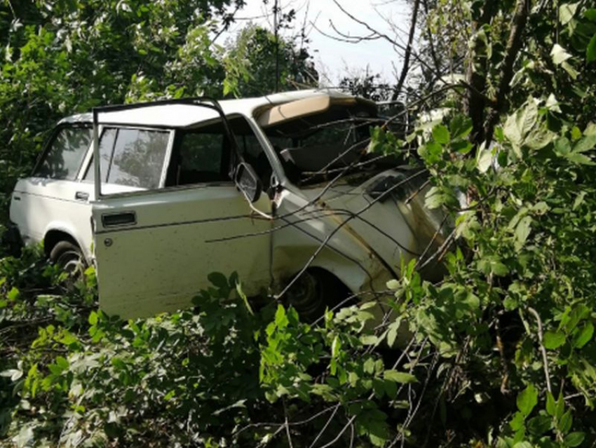 В столкновении легковушки с деревом погиб водитель в Воронежской области