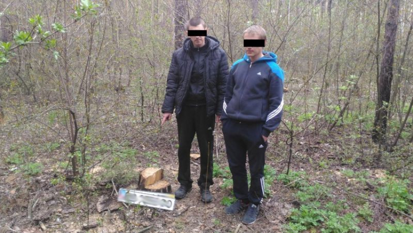 В Воронеже задержаны серийные похитители чужих автомобильных номеров 