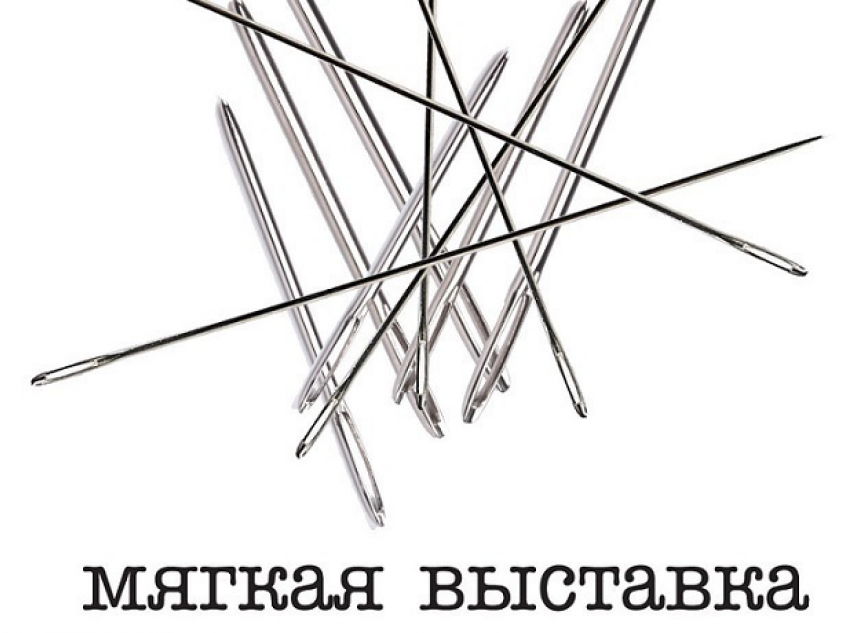 В Воронеже 3 декабря откроется бесплатная «Мягкая выставка"