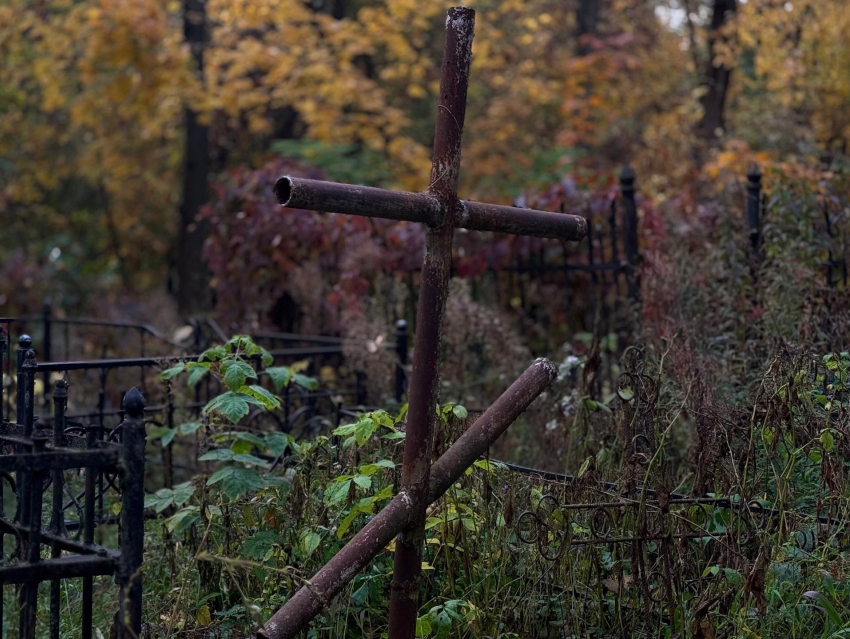 Даже власти прогнозируют вымирание Воронежской области