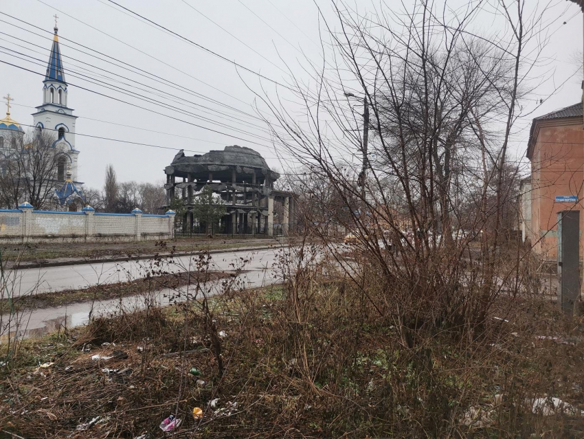 В Воронеже квартал рядом с памятником Великой Отечественной войны превратился в джунгли