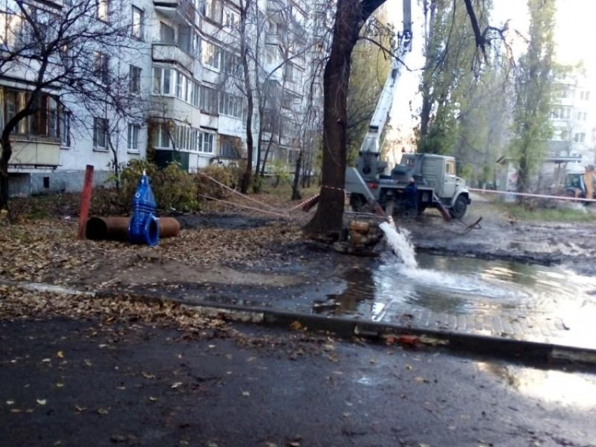 14 домов остались без воды из-за аварии в Воронеже – устранить прорыв мешает дерево