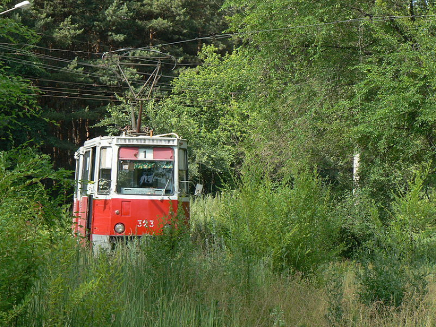 Воронежца, ностальгирующего по трамваям, послали в деревню