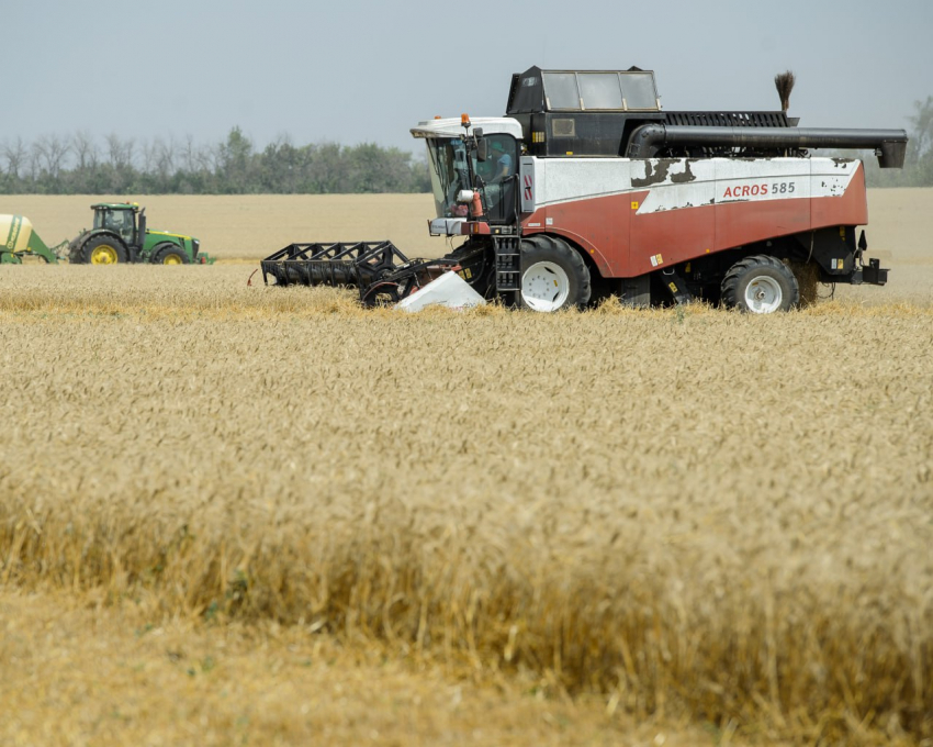 Первые лица региона поздравили воронежцев с Днем работника сельского хозяйства 