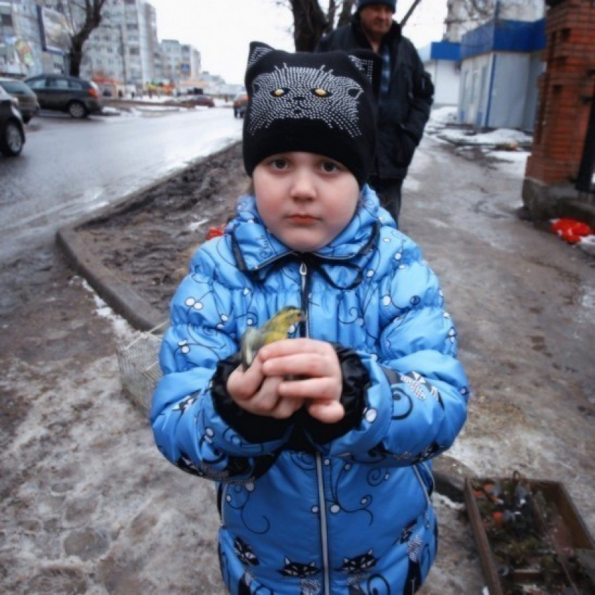 В Воронеже пройдет акция «Благовещение без жертв»