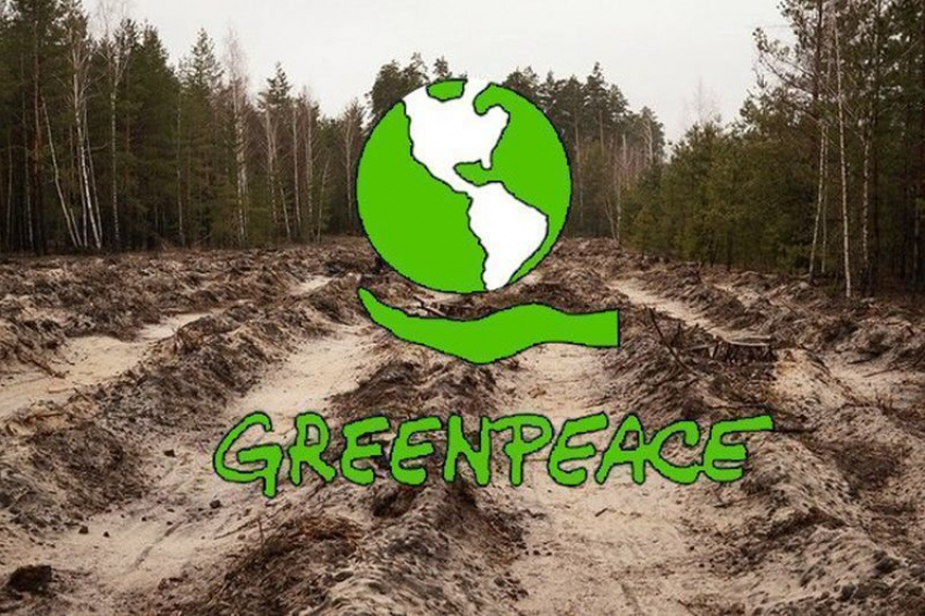 По ситуации в заказнике «Воронежском» российский «Greenpeace» обратится в Генпрокуратуру